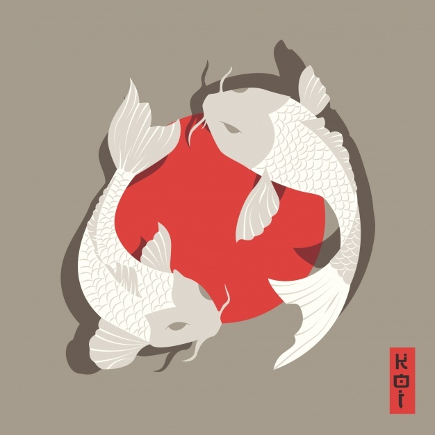 626x626 Koi Vectors, Photos And Free Download