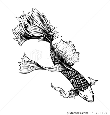 450x468 Koi Fish Vector