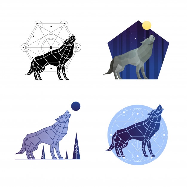 Coyote Vectors, Photos And Free Download 626x626 Coyote Vectors, Photos And Free Download