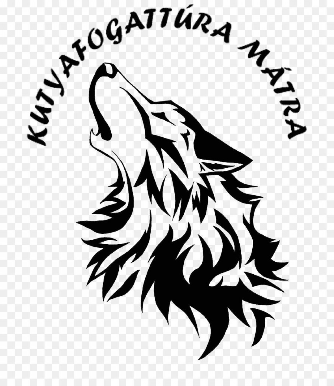 Hd Coyote Line Drawing Vector Free Cqrecords 1080x1248 Hd Coyote Line Drawing Vector Free Cqrecords