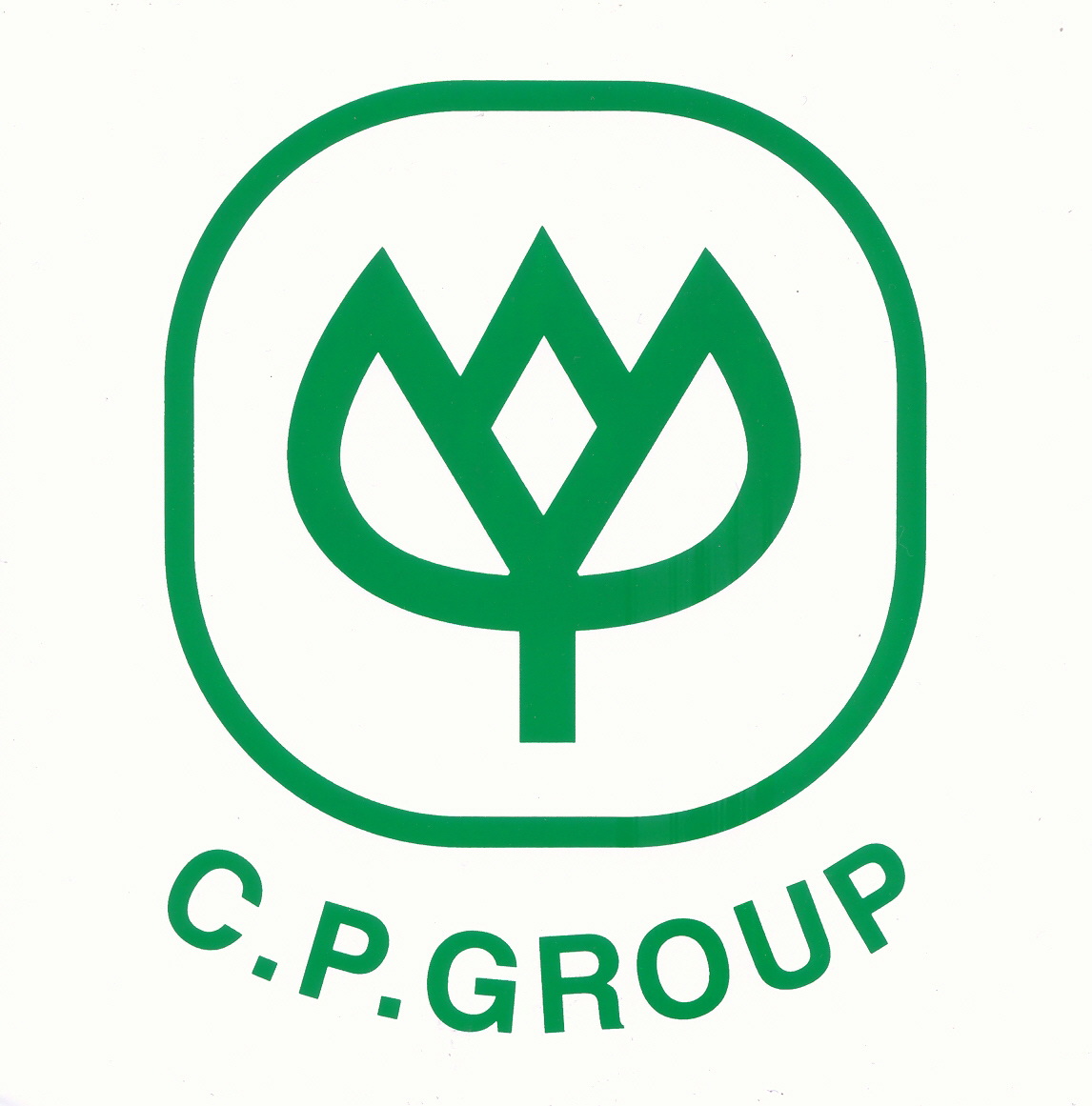 Cp company картинки