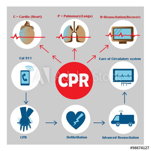 Cpr Vector at Vectorified.com | Collection of Cpr Vector free for ...