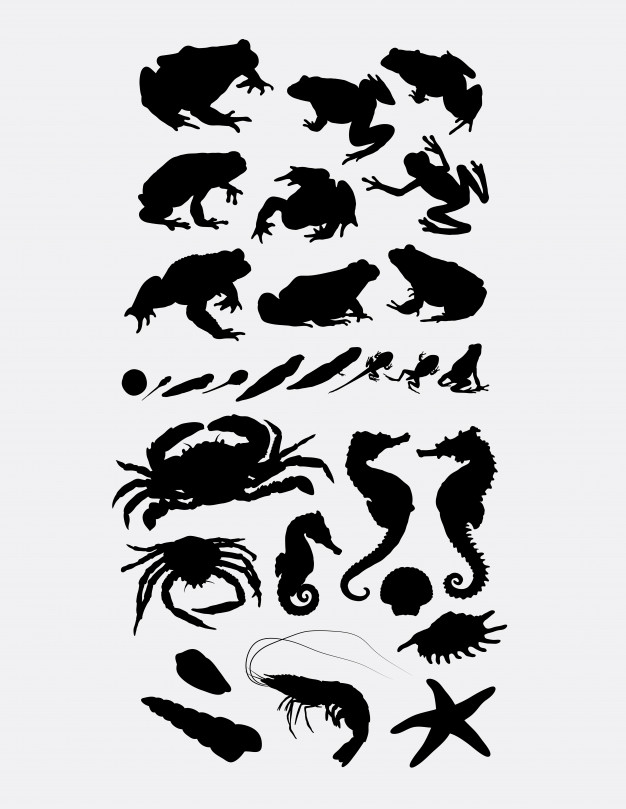 Frog Crab Seahorse And Prawn Sea Animal Silhouette Vector 626x809 Frog Crab Seahorse And Prawn Sea Animal Silhouette Vector