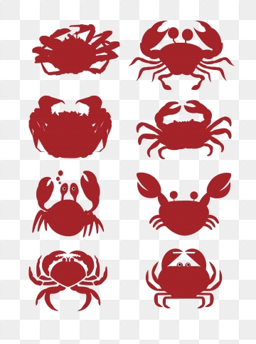 Hairy Crab Png Images Vector And Free Download 360x482 Hairy Crab Png Images Vector And Free Download