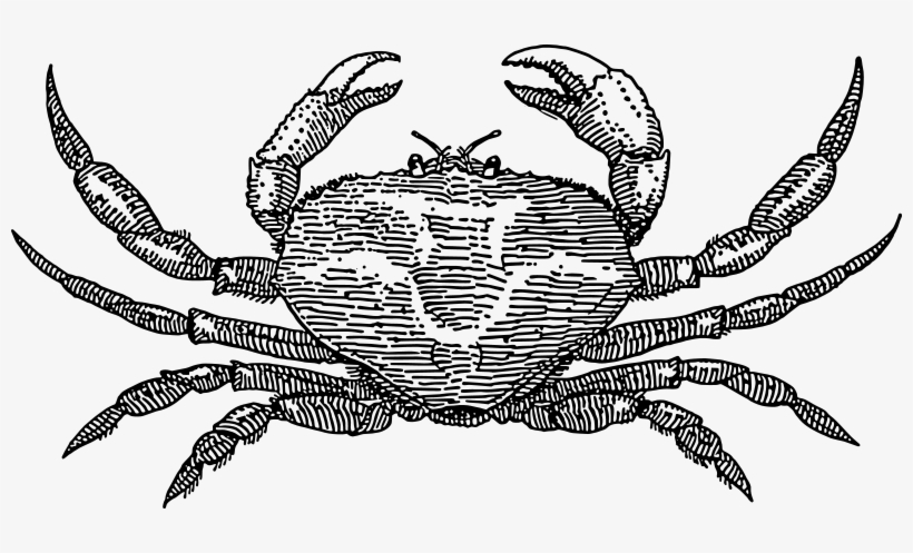 Crab Free Vector 820x497 Crab Free Vector