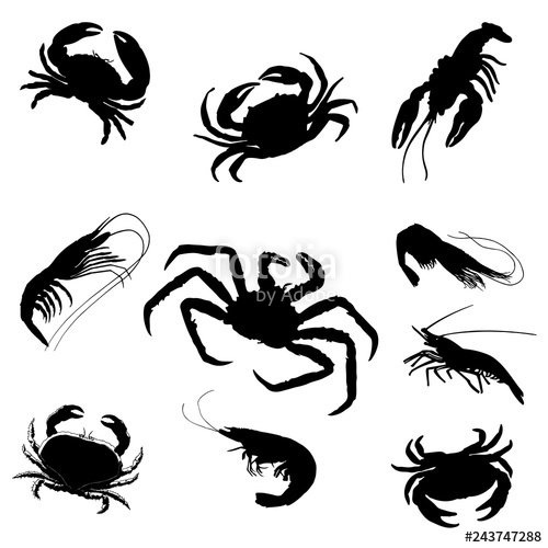 500x500 Black Shrimp, Cancer, Crab Silhouettes Stock Image And Royalty