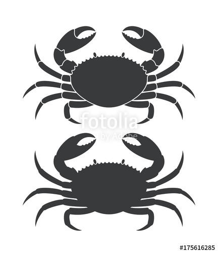 432x500 Crab Silhouette Isolated Crab On White Background Stock Image