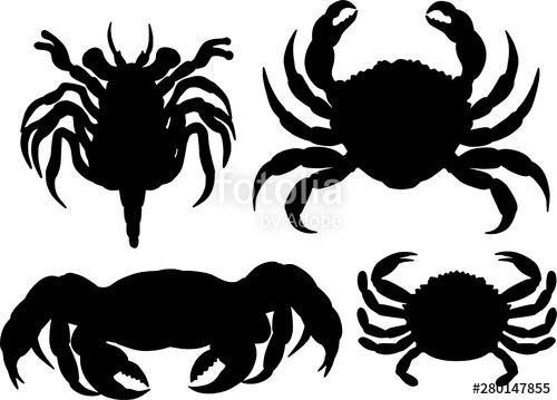 500x359 King Crab Silhouettes Crustacean Vector Illustrations Stock Image