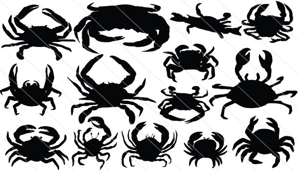 610x350 Collection Of 'crab Silhouette Vector' Download More Than