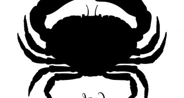 367x195 Crab Vector Black Archives