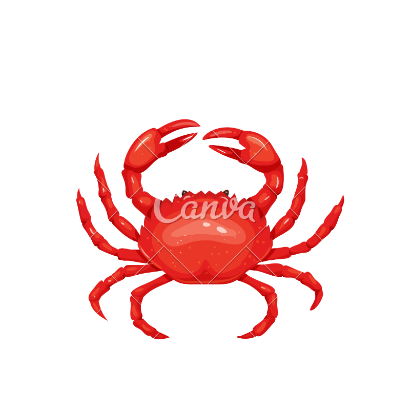 800x800 Crab Vector Icon Design