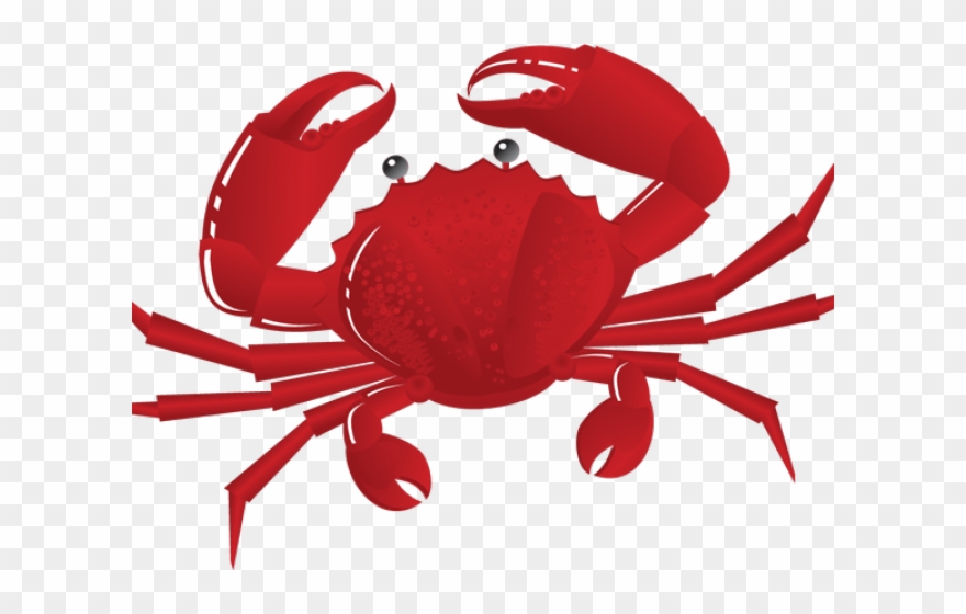 880x560 Seafood Clipart Crab Walk