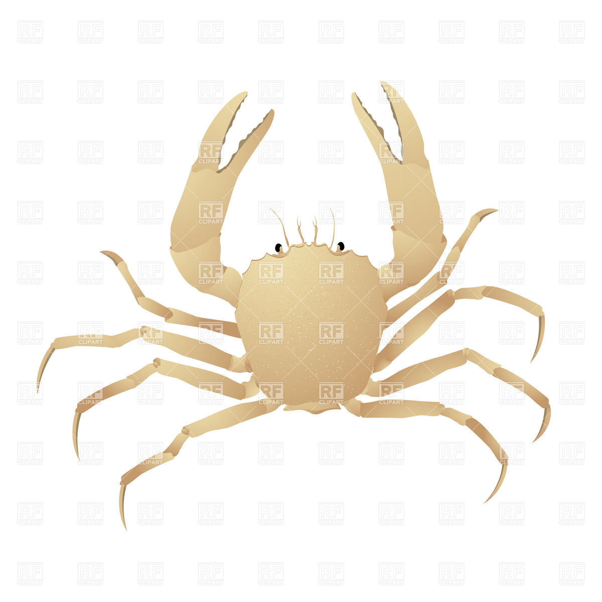 1200x1200 Crab Vector Image Of Plants And Animals Lirch