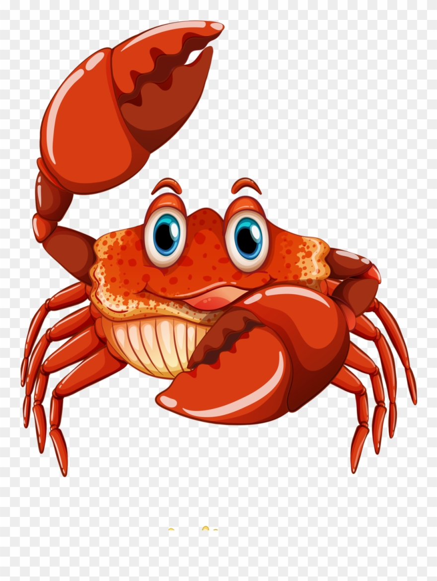 880x1169 Crab Vector Png