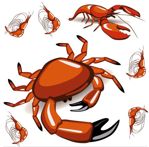 514x507 Crabs And Prawns Vector Graphics Free Download