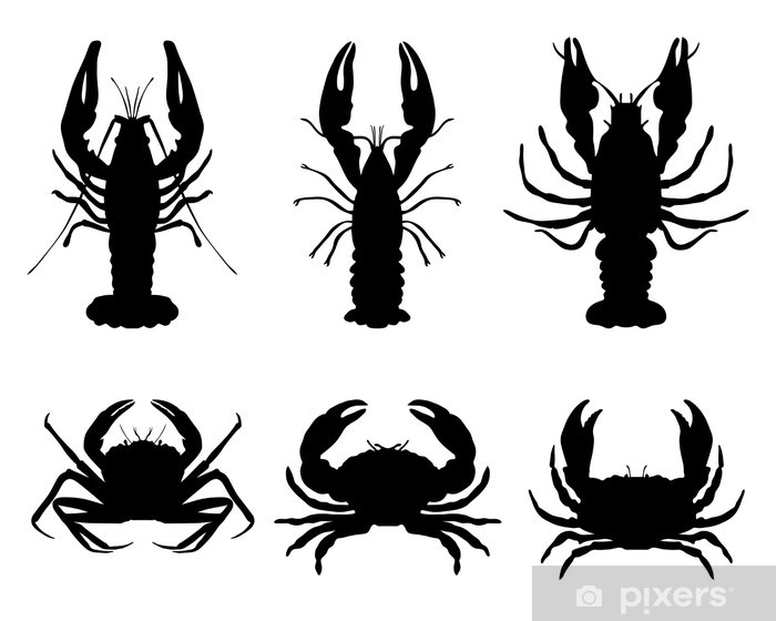700x560 Black Silhouettes Of Crawfish And Crab, Vector Wall Mural Pixers