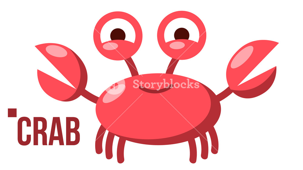 1000x563 Funny Crab Vector Icon Shelf Red Crab Water Sea Animal