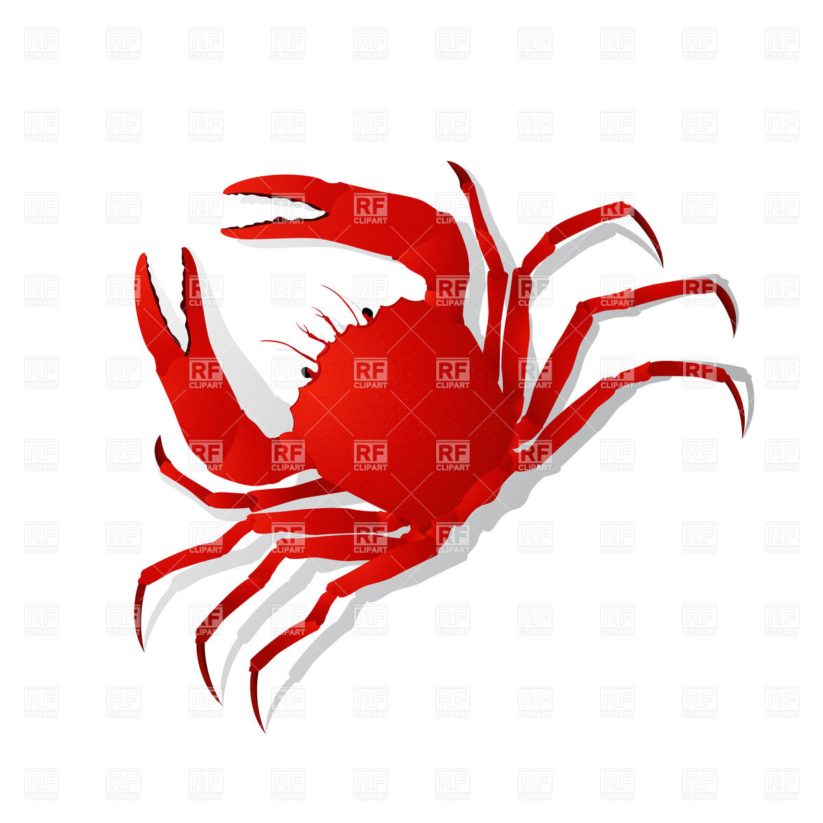 1200x1200 Red Crab Vector Image Of Plants And Animals Lirch