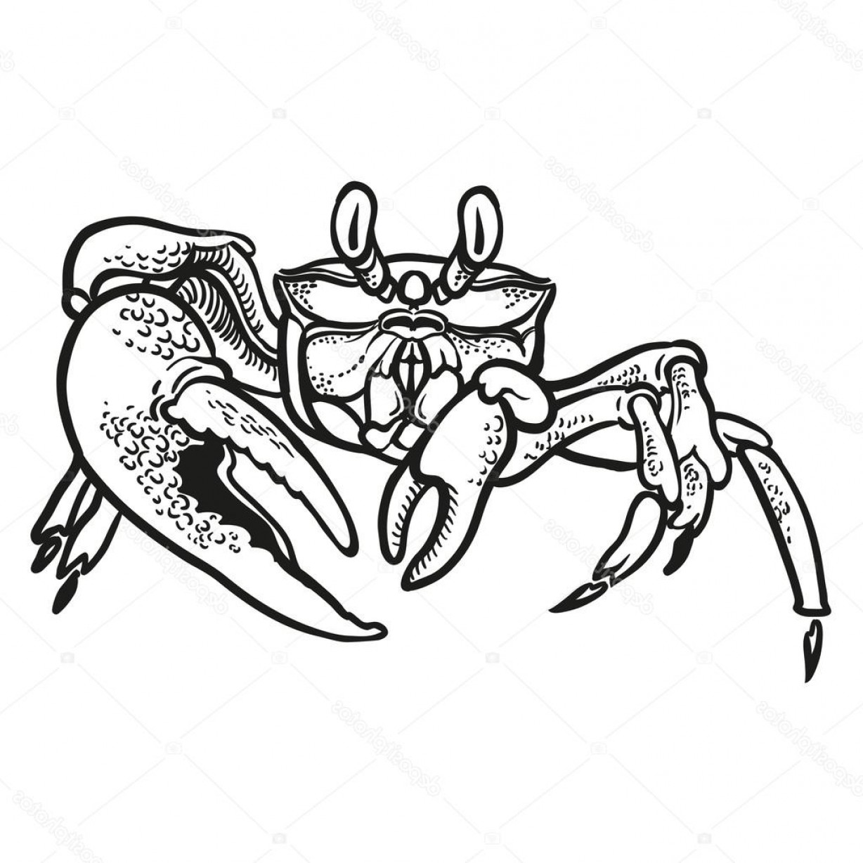 1228x1228 Stock Illustration Detailed Hand Drawing Crab Vector Createmepink