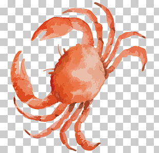 Crab Vector Free