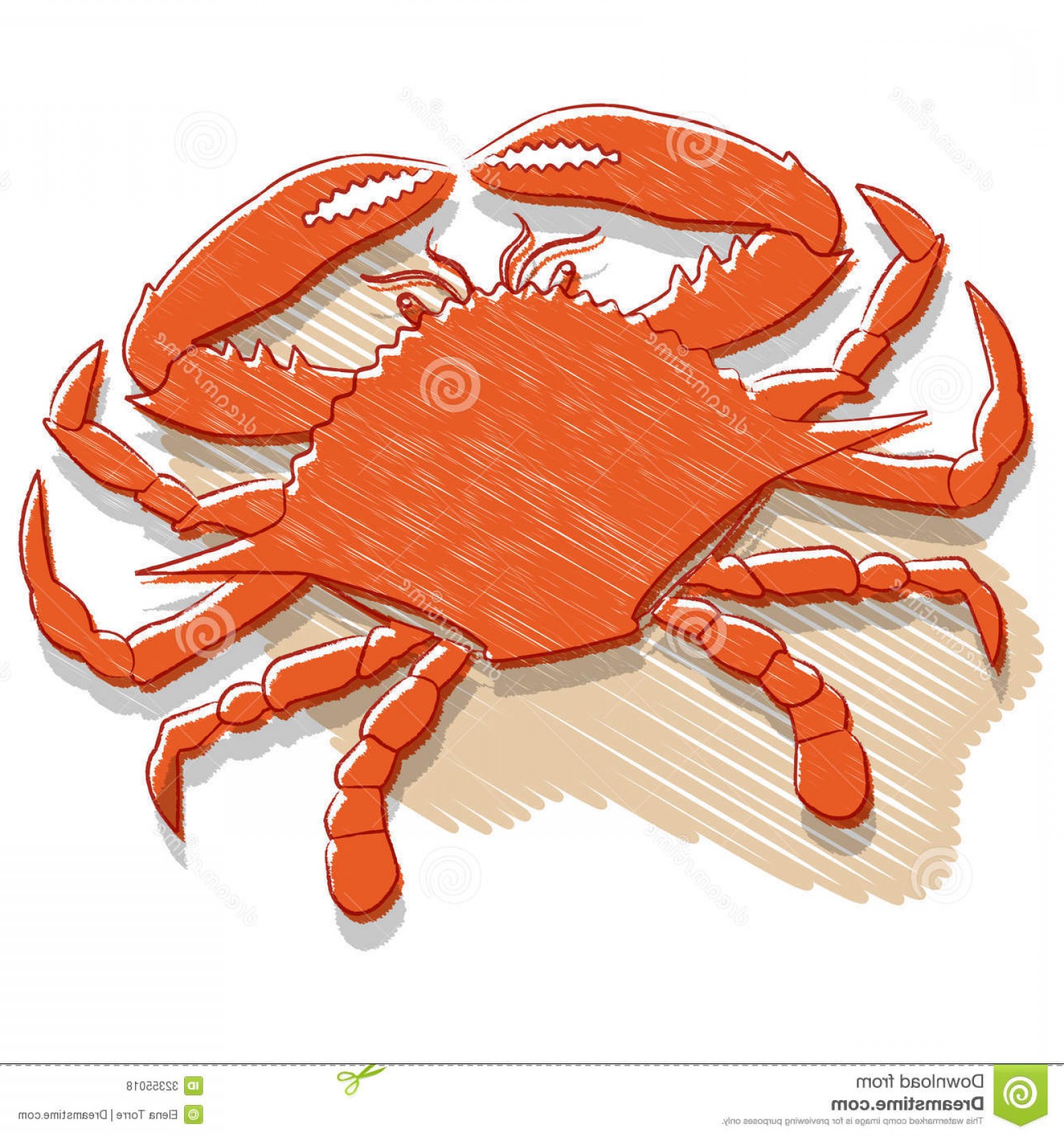 1560x1668 Crab Vector Catchsplace