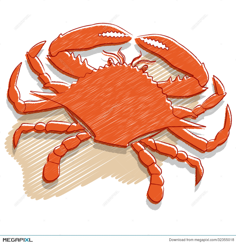 800x830 Crab Vector Illustration