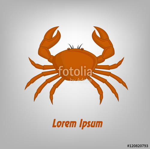500x494 Crab Vector Template Stock Image And Royalty Free Vector
