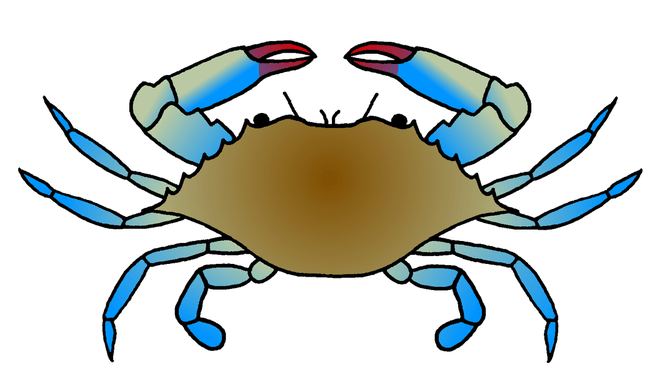 665x386 Crabs Clipart Easy For Free Download And Use Images