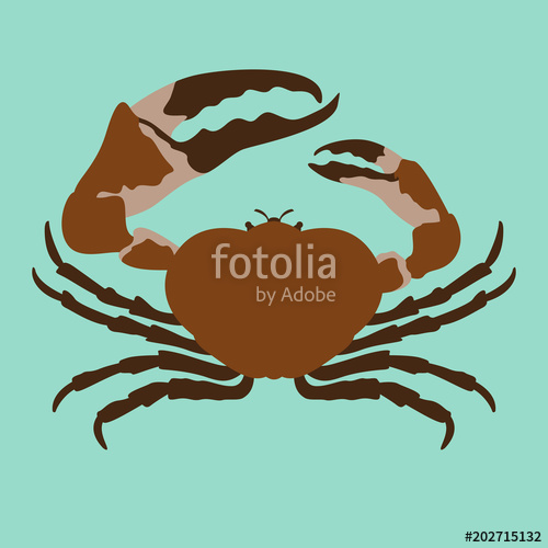 500x500 Crab Vector Illustration Flat Style Front Side Stock Image