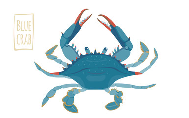 385x240 Blue Crab Vector Photos, Royalty Free Images, Graphics, Vectors