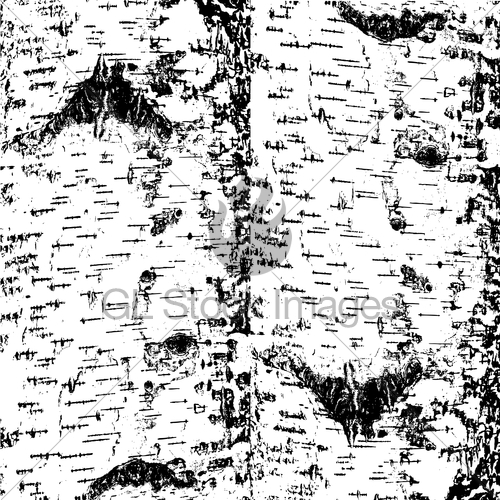 Bark Of Birch In The Cracks Texture Vector Illustration Gl 500x500 Bark Of Birch In The Cracks Texture Vector Illustration Gl