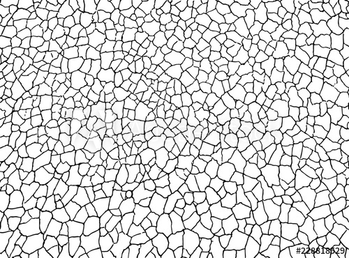 The Cracks Texture White And Black Vector Background Cracked 500x370 The Cracks Texture White And Black Vector Background Cracked