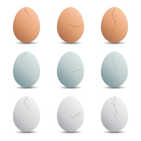 Egg Free Vector Art 490x490 Egg Free Vector Art
