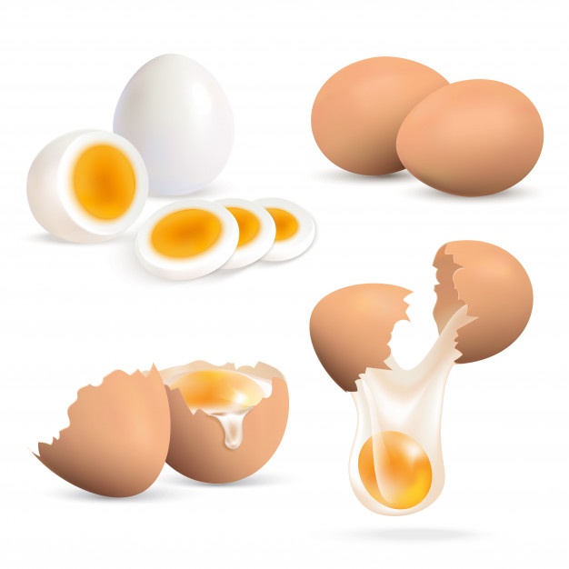 Eggs Vectors, Photos And Free Download 626x626 Eggs Vectors, Photos And Free Download