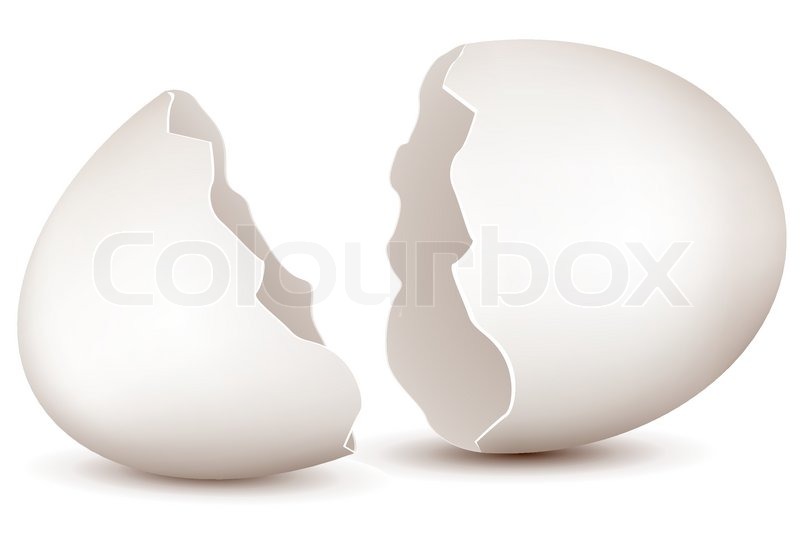 Illustration Of Broken Egg On White Stock Vector Colourbox 800x534 Illustration Of Broken Egg On White Stock Vector Colourbox