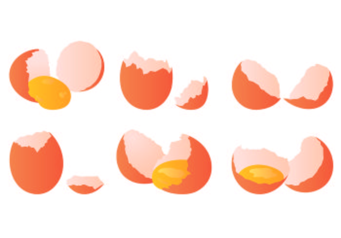 Set Of Broken Egg Vector 700x490 Set Of Broken Egg Vector