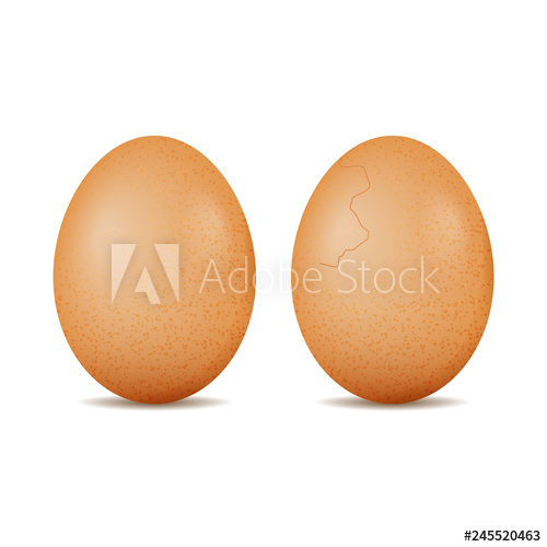 Two Realistic Isolated Eggs Cracked Egg Vector Illustration 500x500 Two Realistic Isolated Eggs Cracked Egg Vector Illustration