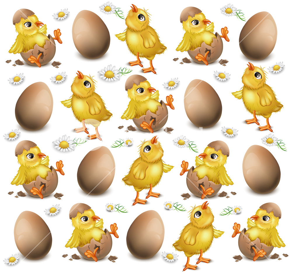 Chicken Pattern Cracked Eggs Vector Illustration Easter 1000x934 Chicken Pattern Cracked Eggs Vector Illustration Easter