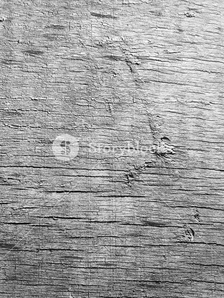 Old Wood Texture Background Flaky Crackled Texture Distressed 750x1000 Old Wood Texture Background Flaky Crackled Texture Distressed