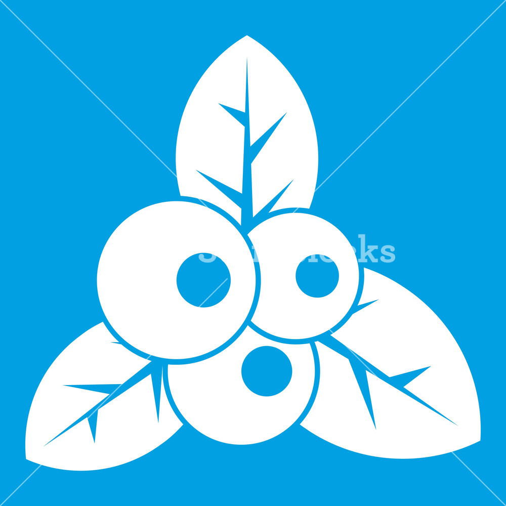 Cranberry Icon White Isolated On Blue Background Vector 1000x1000 Cranberry Icon White Isolated On Blue Background Vector