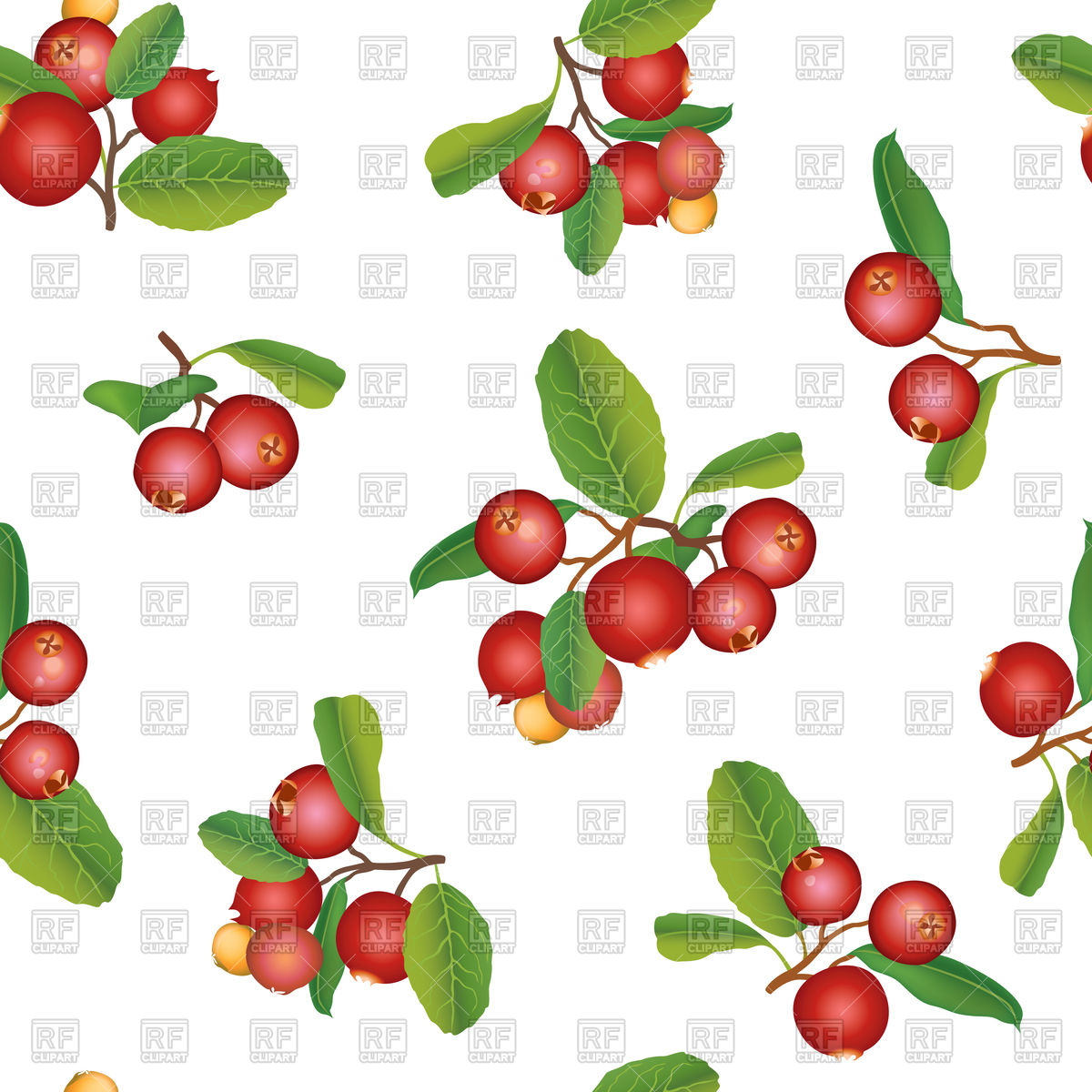 Cranberry Summer Seamless Pattern Vector Image Of Backgrounds 1200x1200 Cranberry Summer Seamless Pattern Vector Image Of Backgrounds