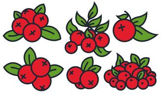 Cranberry Vector at Vectorified.com | Collection of Cranberry Vector ...