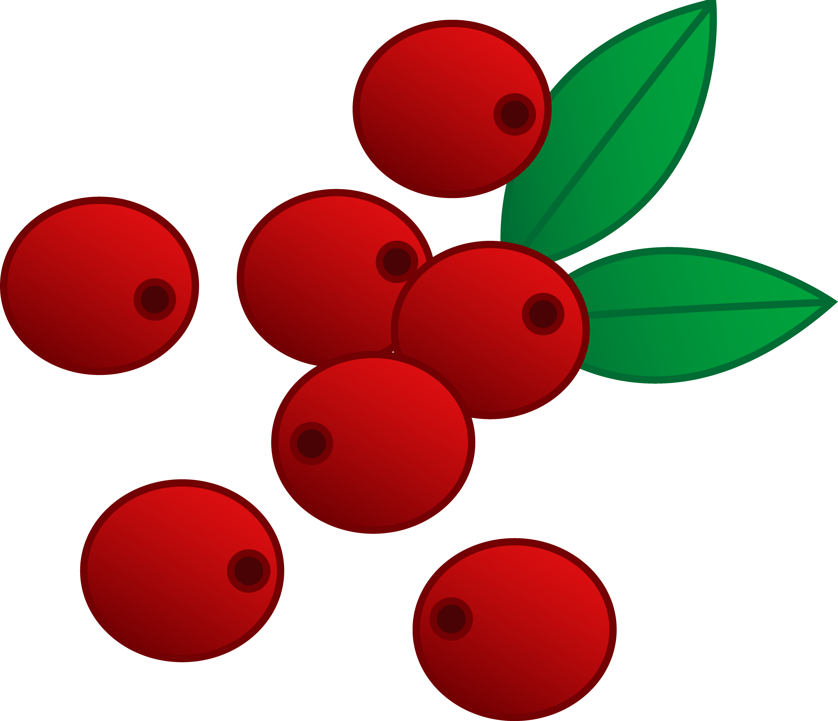 Red Cranberries Vector Art 3345x2877 Red Cranberries Vector Art