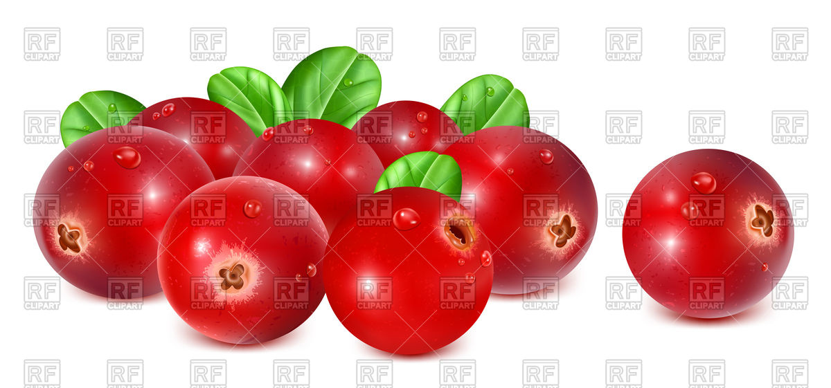 Ripe Red Cranberries With Leaves Vector Image Of Food 1200x561 Ripe Red Cranberries With Leaves Vector Image Of Food