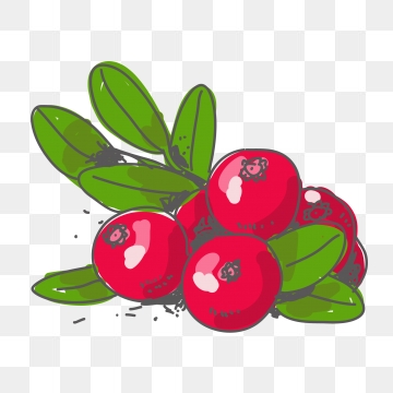 Cranberry Png, Vector, And Clipart With Transparent 360x360 Cranberry Png, Vector, And Clipart With Transparent
