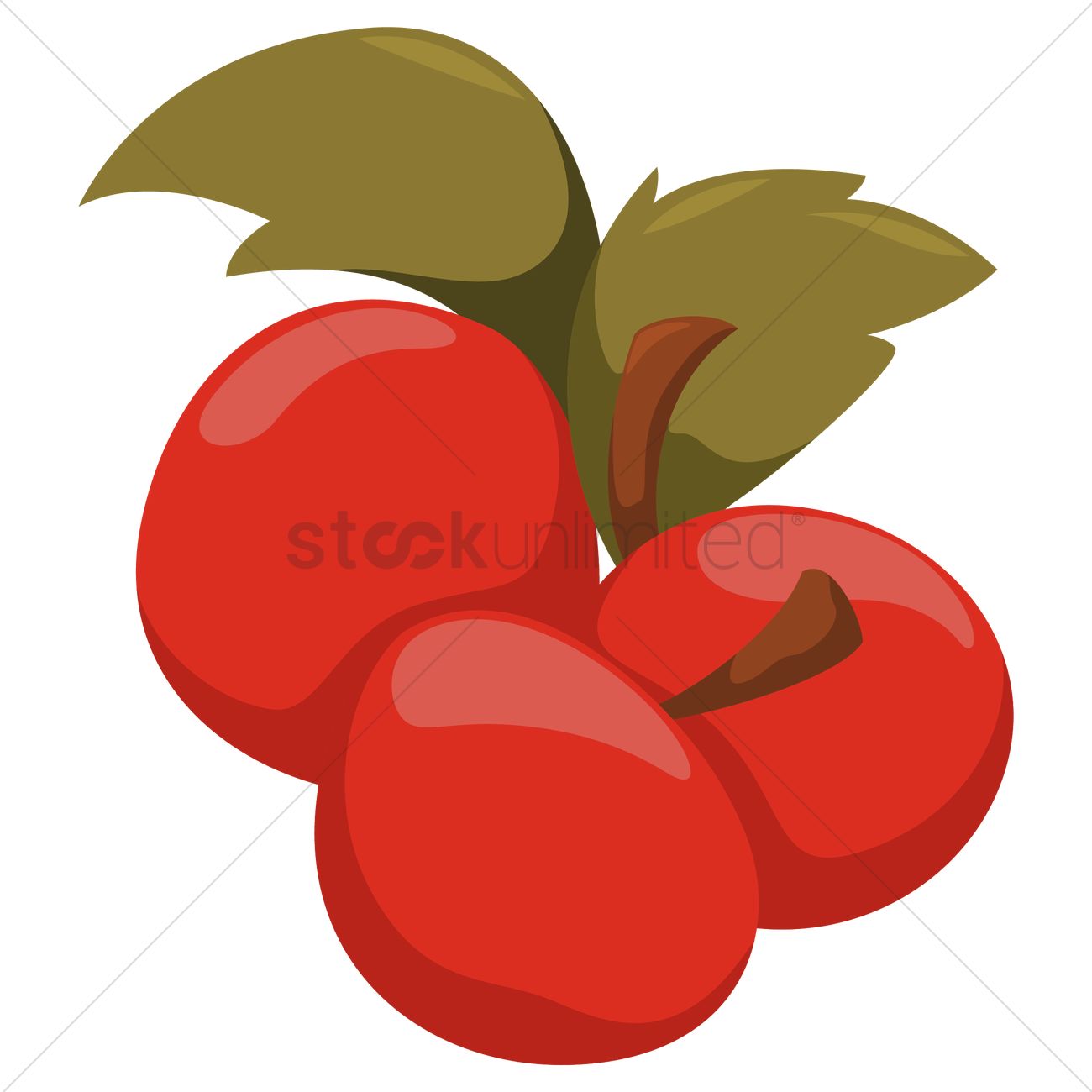 Cranberry Vector Image 1300x1300 Cranberry Vector Image