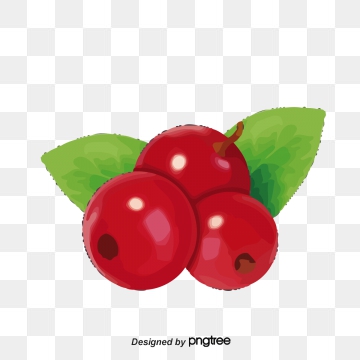 Cranberry Vector Png, Vector, And Clipart With Transparent 360x360 Cranberry Vector Png, Vector, And Clipart With Transparent