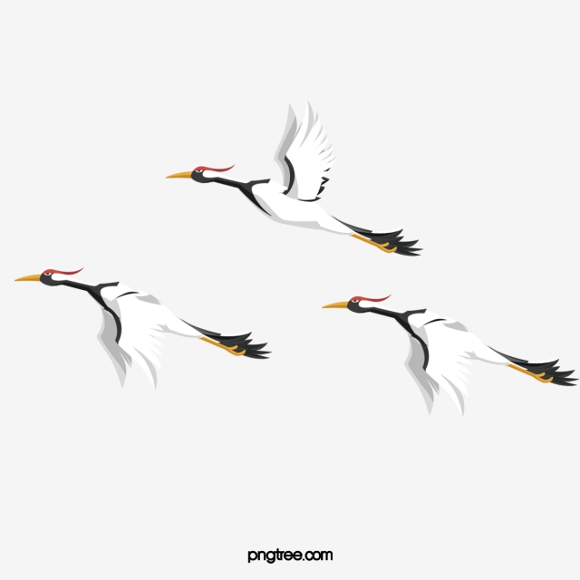 Crane Vector, Crane, Birds, Vector Png And Vector With Transparent 640x640 Crane Vector, Crane, Birds, Vector Png And Vector With Transparent