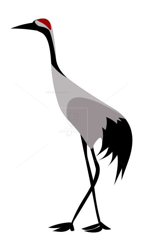 Crane Bird Clip Art Free Vectors, Illustrations, Graphics, Clipart, Png 458x800 Crane Bird Clip Art Free Vectors, Illustrations, Graphics, Clipart, Png