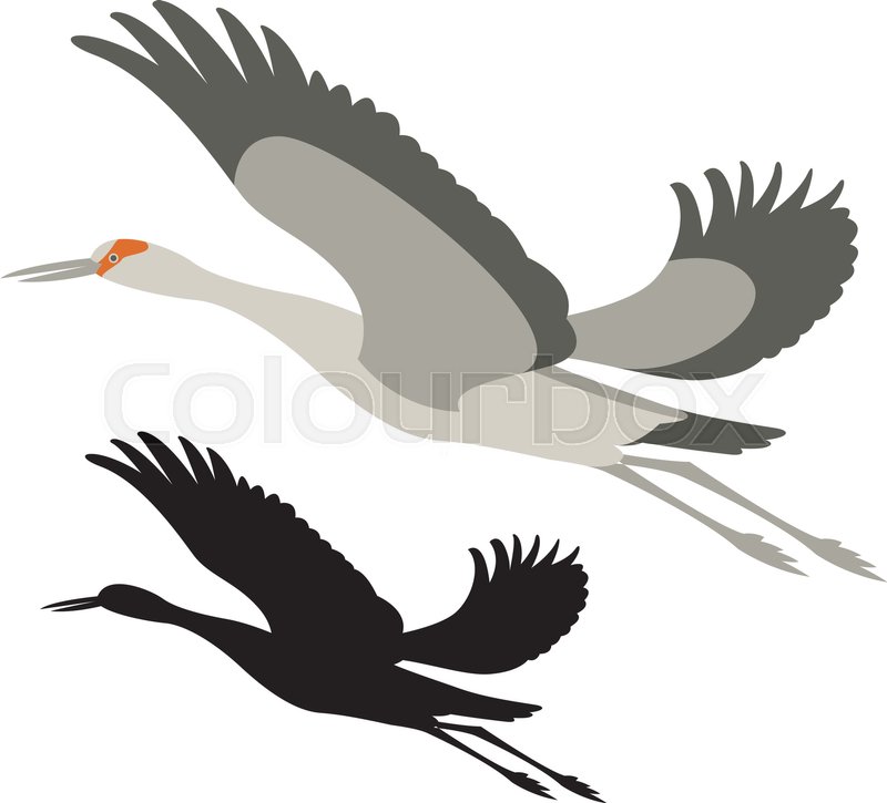 Crane Bird Vector Illustration Black Stock Vector Colourbox 800x725 Crane Bird Vector Illustration Black Stock Vector Colourbox